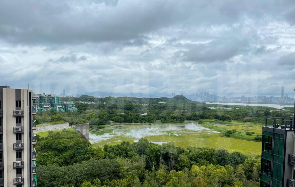 WETLAND SEASONS PARK 2期 12座 - 28NTS – 香港北部都會區