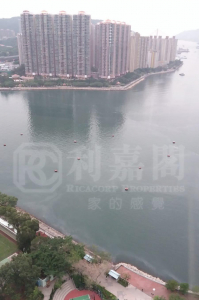 海灣花園 1座 - 28NTS – 香港北部都會區