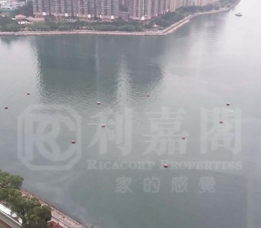 海灣花園 1座 - 28NTS – 香港北部都會區