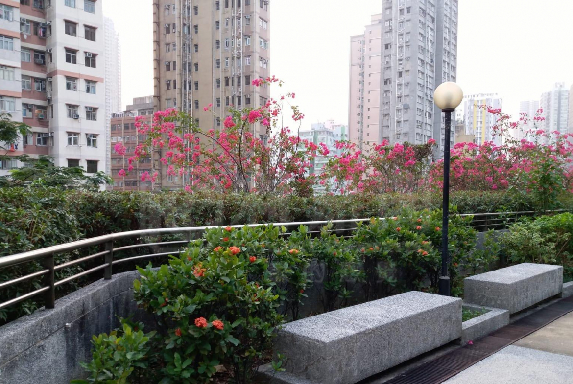 荃豐中心 - 28NTS – 香港北部都會區