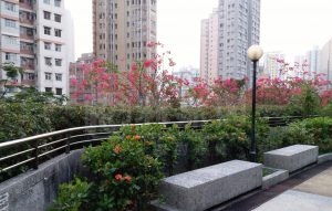 荃豐中心 - 28NTS – 香港北部都會區