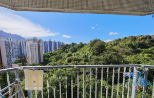 容龍居 4座 - 28NTS – 香港北部都會區