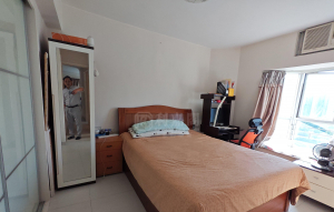 容龍居 4座 - 28NTS – 香港北部都會區