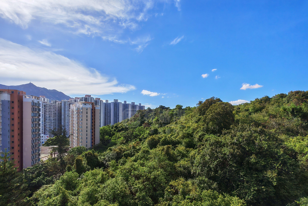 容龍居 4座 - 28NTS – 香港北部都會區