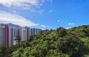 容龍居 4座 - 28NTS – 香港北部都會區
