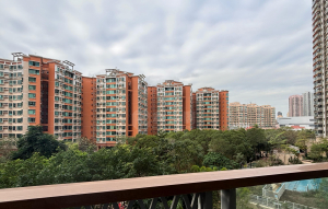 翹翠峰 1座 - 28NTS – 香港北部都會區