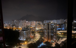 疊茵庭 2座 - 28NTS – 香港北部都會區