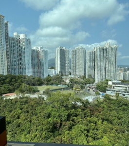曉峰園 3座 - 28NTS – 香港北部都會區
