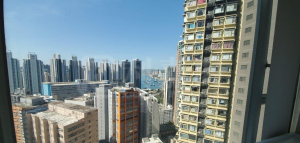 樂悠居 - 28NTS – 香港北部都會區