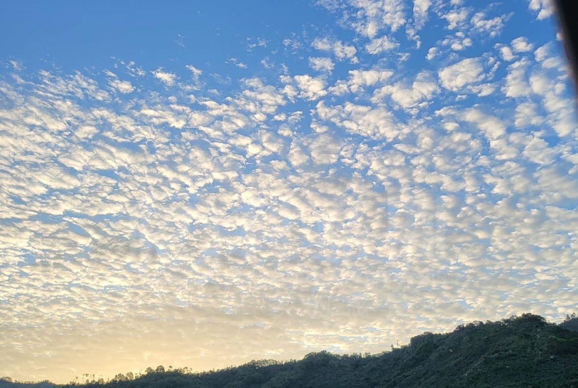 怡樂花園 3座 - 28NTS – 香港北部都會區