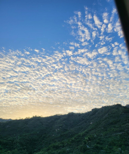 怡樂花園 3座 - 28NTS – 香港北部都會區
