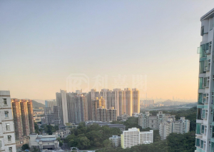 怡樂花園 3座 - 28NTS – 香港北部都會區