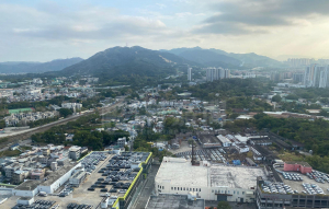 屏欣苑 C座 (屏泰閣) - 28NTS – 香港北部都會區