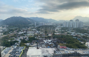 屏欣苑 C座 (屏泰閣) - 28NTS – 香港北部都會區