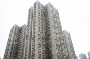 彩華花園 B座 - 28NTS – 香港北部都會區
