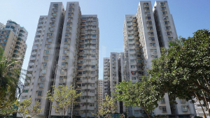 彩華花園 B座 - 28NTS – 香港北部都會區