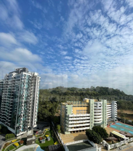 OMA OMA 1B座 - 28NTS – 香港北部都會區
