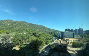 愛琴海岸 8座 - 28NTS – 香港北部都會區