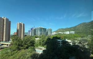 愛琴海岸 8座 - 28NTS – 香港北部都會區