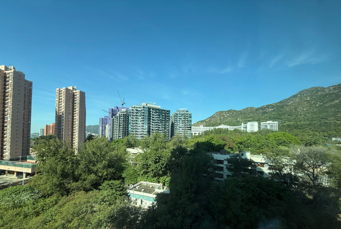 愛琴海岸 8座 - 28NTS – 香港北部都會區
