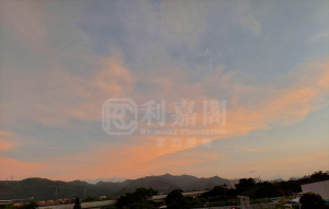 富安花苑 28座 - 28NTS – 香港北部都會區