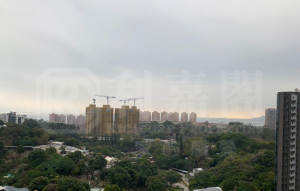 OMA OMA 2B座 - 28NTS – 香港北部都會區
