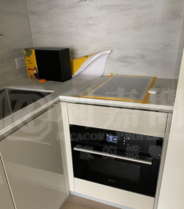 OMA OMA 2B座 - 28NTS – 香港北部都會區