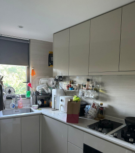 OMA OMA 2B座 - 28NTS – 香港北部都會區