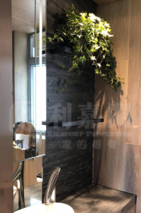 尚悅 9座 - 28NTS – 香港北部都會區
