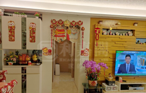 栢慧豪園 2期 栢慧豪廷 9座 - 28NTS – 香港北部都會區