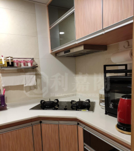 栢慧豪園 2期 栢慧豪廷 9座 - 28NTS – 香港北部都會區