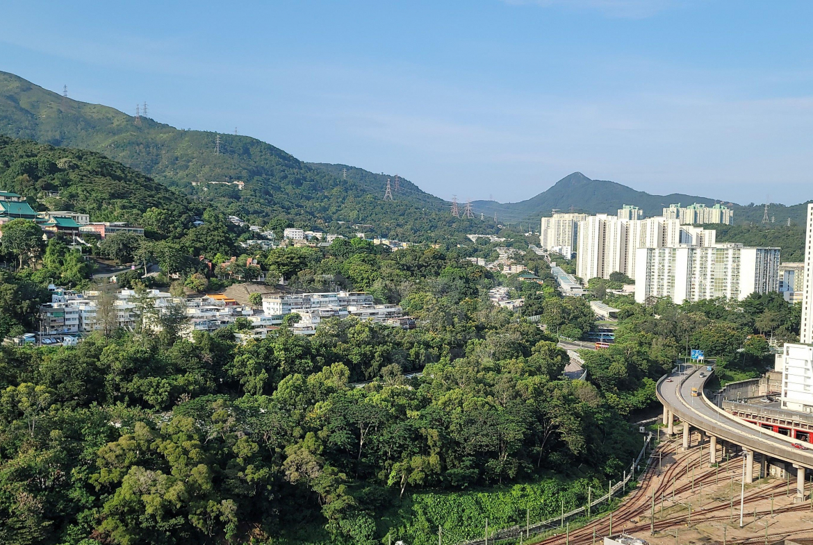 荃錦中心 2座 - 28NTS – 香港北部都會區