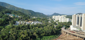荃錦中心 2座 - 28NTS – 香港北部都會區