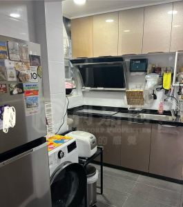天頌苑 頌琴閣 (N座) - 28NTS – 香港北部都會區