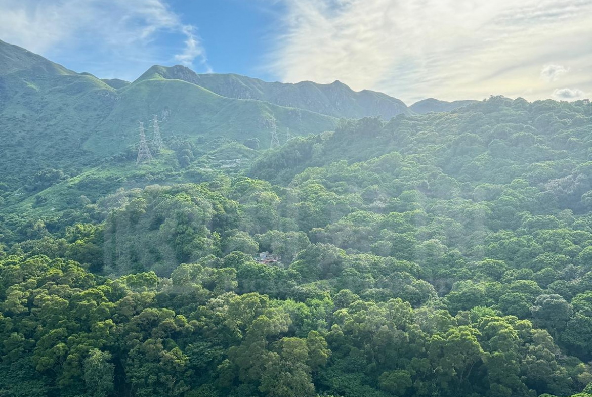 山景邨 景美樓 (8座) - 28NTS – 香港北部都會區