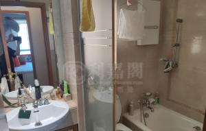 盈翠半島 2期 10座 - 28NTS – 香港北部都會區