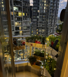 尚悅 3座 - 28NTS – 香港北部都會區
