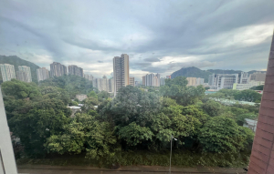 疊茵庭 8座 - 28NTS – 香港北部都會區