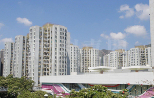 兆安苑 定邦閣 (D座) - 28NTS – 香港北部都會區