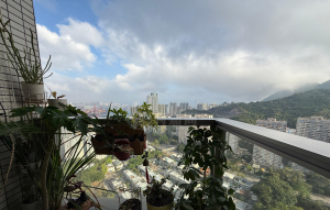 綠悠雅苑 2座 - 28NTS – 香港北部都會區