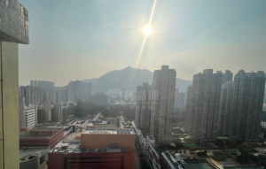 華都花園 2座 - 28NTS – 香港北部都會區