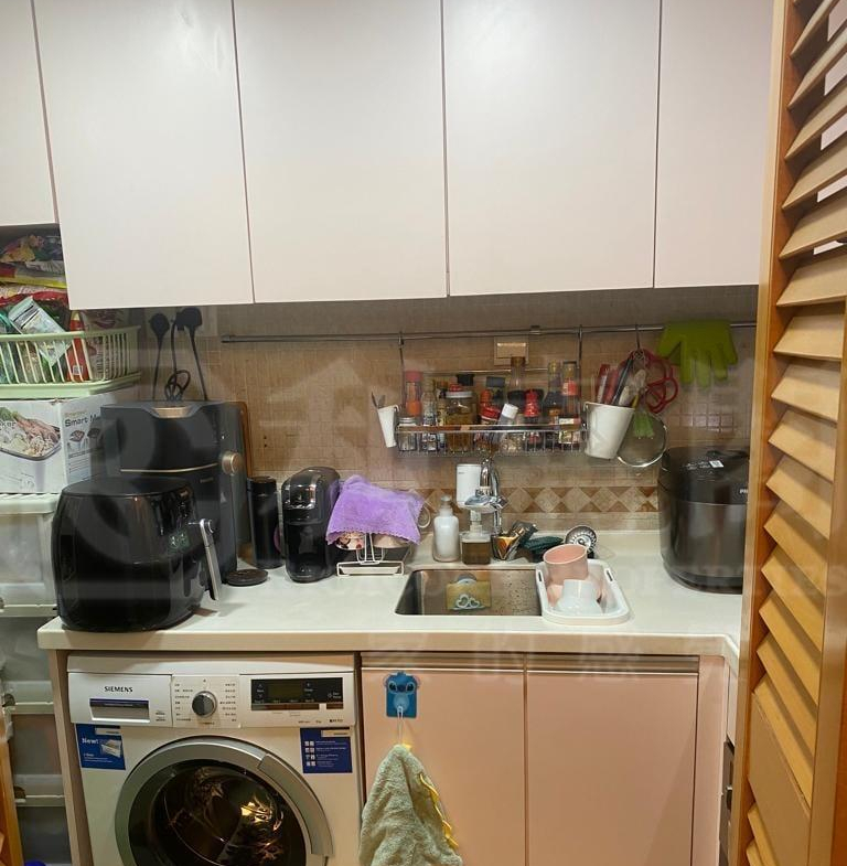 恒麗園 4座 - 28NTS – 香港北部都會區