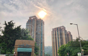 曉峰園 2座 - 28NTS – 香港北部都會區