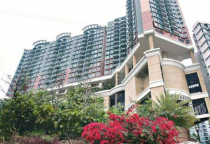 朗逸峰 2期 11座 - 28NTS – 香港北部都會區