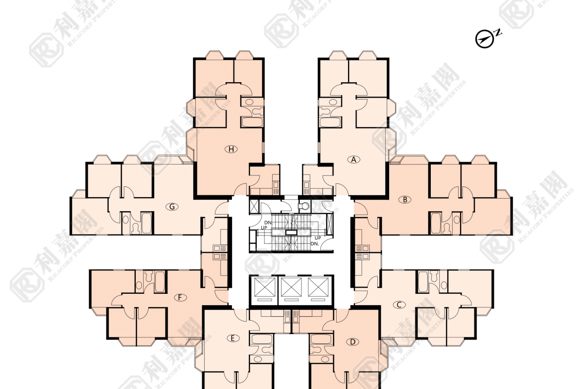 海濱花園 海珠閣 (2座) - 28NTS – 香港北部都會區