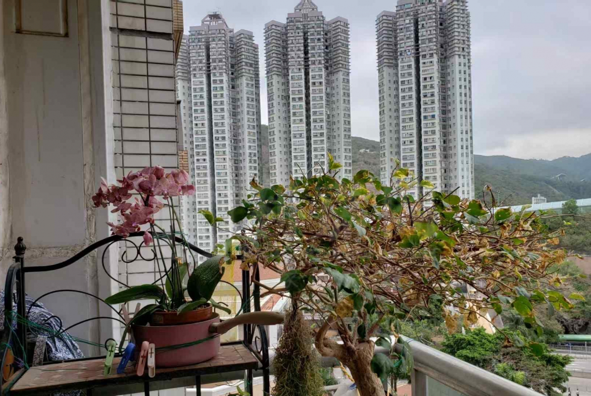 碧堤半島 2期 5座 - 28NTS – 香港北部都會區