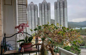 碧堤半島 2期 5座 - 28NTS – 香港北部都會區