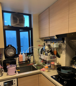 翠鳴臺 - 28NTS – 香港北部都會區