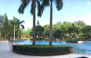 愛琴海岸 2座 - 28NTS – 香港北部都會區