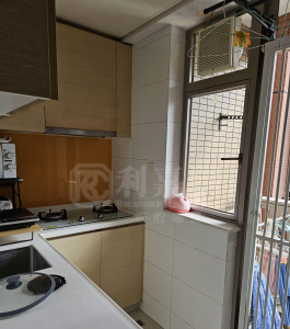綠悠雅苑 3座 - 28NTS – 香港北部都會區